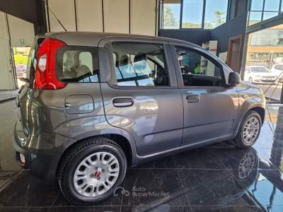 Fiat Panda Fiat Panda 1.2 benzina-gpl usata Palazzo di Assisi