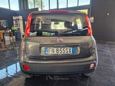 Fiat Panda Fiat Panda 1.2 benzina-gpl usata Palazzo di Assisi