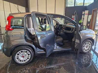 Fiat Panda Fiat Panda 1.2 benzina-gpl usata Palazzo di Assisi