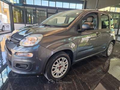 Fiat Panda Fiat Panda 1.2 benzina-gpl usata Palazzo di Assisi