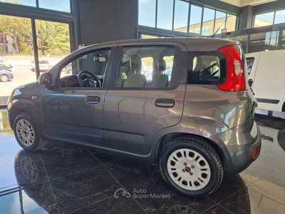 Fiat Panda Fiat Panda 1.2 benzina-gpl usata Palazzo di Assisi