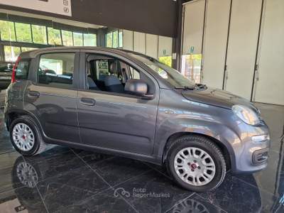 Fiat Panda Fiat Panda 1.2 benzina-gpl usata Palazzo di Assisi