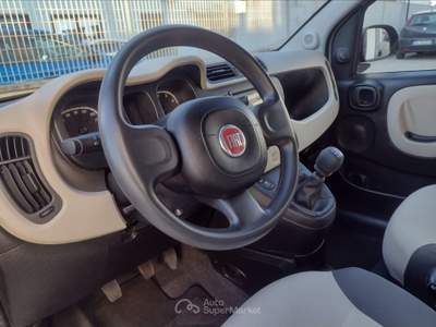 Fiat Panda Panda 1.2 easy Beige usata Pisa