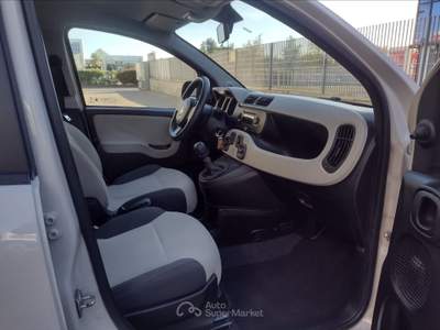 Fiat Panda Panda 1.2 easy Beige usata Pisa