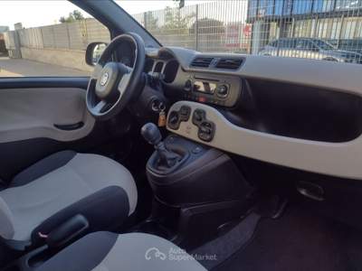 Fiat Panda Panda 1.2 easy Beige usata Pisa