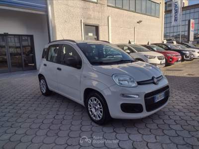 Fiat Panda Panda 1.2 easy Beige usata Pisa