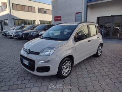 Fiat Panda Panda 1.2 easy Beige usata Pisa