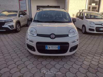 Fiat Panda Panda 1.2 easy Beige usata Pisa