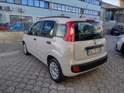 Fiat Panda Panda 1.2 easy Beige usata Pisa