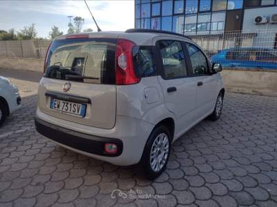 Fiat Panda Panda 1.2 easy Beige usata Pisa