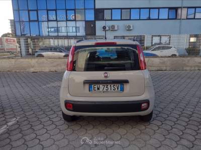 Fiat Panda Panda 1.2 easy Beige usata Pisa