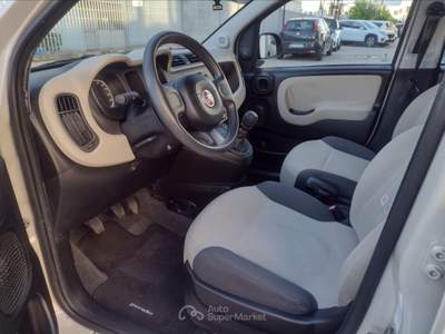 Fiat Panda Panda 1.2 easy Beige usata Pisa