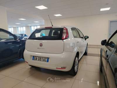 Fiat Punto Punto 1.3 MJT II 75 CV 5 porte Street Bianco usata MONTE URANO