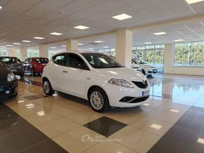 Lancia Ypsilon Ypsilon 1.3 MJT 16V 95 CV 5 porte S&S Gold Bianco usata MONTE URANO