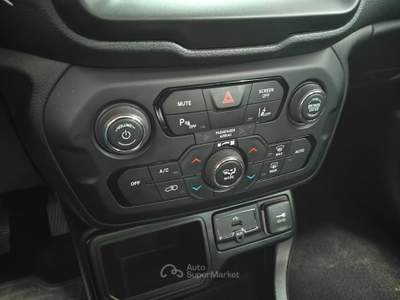 Jeep Renegade Renegade 1.6 Mjt 130 CV Limited Grigio usata RENDE