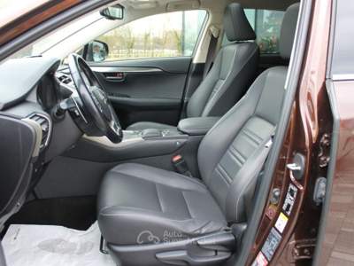 Lexus NX Hybrid Grigio usata Trebaseleghe
