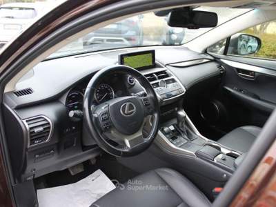 Lexus NX Hybrid Grigio usata Trebaseleghe