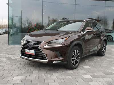Lexus NX Hybrid Grigio usata Trebaseleghe