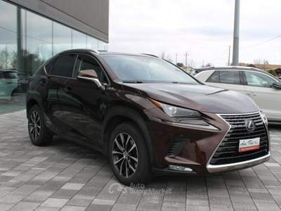 Lexus NX Hybrid Grigio usata Trebaseleghe
