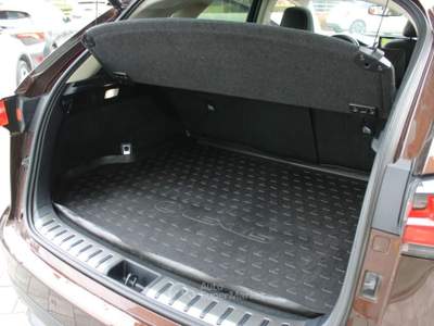 Lexus NX Hybrid Grigio usata Trebaseleghe