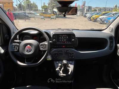 Fiat Panda My24 1.0 70cv Hybrid Panda Bianco usata Roma