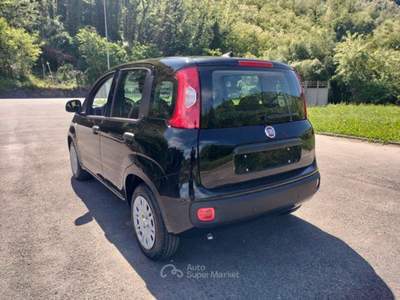 Fiat Pandina 1.0 FireFly 65cv S&S 6m Hybrid Icon Nero usata Bagni di Lucca