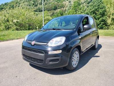 Fiat Pandina 1.0 FireFly 65cv S&S 6m Hybrid Icon Gpl!! Nero usata Bagni di Lucca