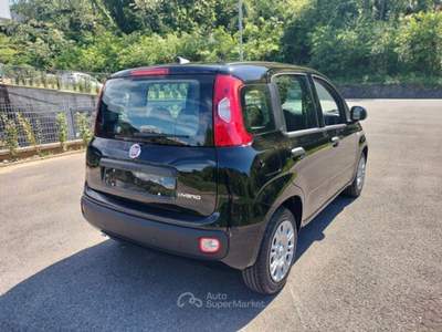 Fiat Pandina 1.0 FireFly 65cv S&S 6m Hybrid Icon Gpl!! Nero usata Bagni di Lucca