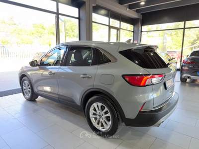 Ford Kuga Ford Kuga 1.5 Ecoblue usata Teramo