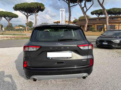 Ford Kuga Kuga 2.5 Full Hybrid 190 CV CVT 2WD Connect Grigio usata Castagneto Carducci