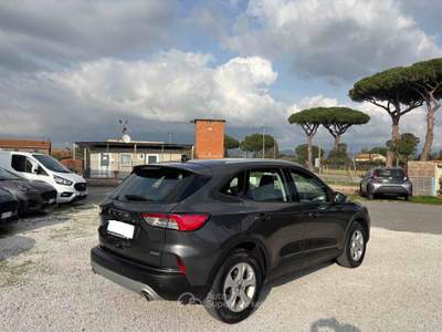 Ford Kuga Kuga 2.5 Full Hybrid 190 CV CVT 2WD Connect Grigio usata Castagneto Carducci