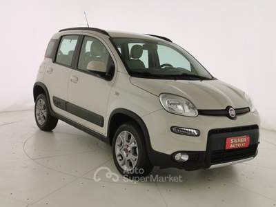 Fiat Panda 1.3 MJT S&S 4x4 Beige usata Crema