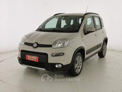 Fiat Panda 1.3 MJT S&S 4x4 Beige usata Crema