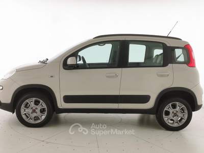 Fiat Panda 1.3 MJT S&S 4x4 Beige usata Crema