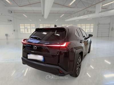 Lexus UX LEXUS UX 250H HYBRID LUXURY 4WD SUV usata Casei Gerola