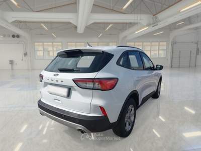 Ford Kuga FORD KUGA 1.5 ECOBLUE 120 CV 2WD CONNECT AUTO SUV usata Bari