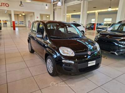 Fiat Panda 1.0 FireFly S&S Hybrid - PROMO K73 Nero usata Brendola