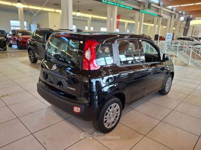 Fiat Panda 1.0 FireFly S&S Hybrid - PROMO K73 Nero usata Brendola