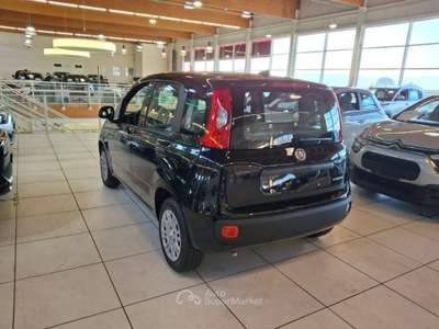Fiat Panda 1.0 FireFly S&S Hybrid - PROMO K73 Nero usata Brendola