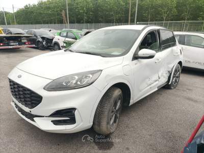 Ford Kuga 2.5 Full Hybrid 190 CV CVT 2WD ST-Line Bianco usata Pordenone