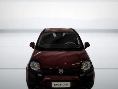 Fiat Panda 1.0 FireFly S&S Hybrid Pandina Rosso usata BOLOGNA