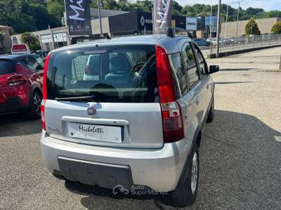 Fiat Panda 4x4 Argento usata Borgomanero