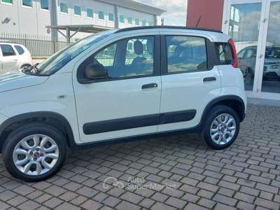 Fiat Panda 0.9 TwinAir Turbo S&S 4x4 Az. Italia Certificata Bianco usata Civitella in Val di Chiana