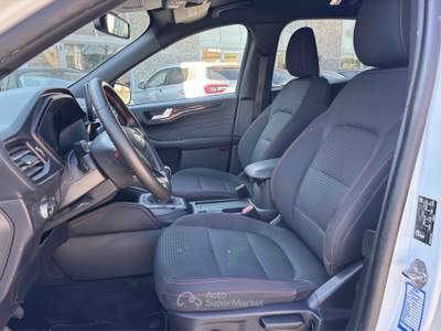 Ford Kuga Ford Kuga 1.5 Ecoblue St-line 120 CV Bianco usata Castagneto Carducci