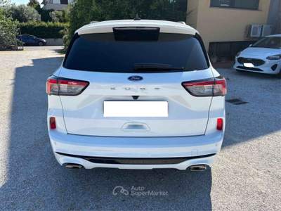 Ford Kuga Ford Kuga 1.5 Ecoblue St-line 120 CV Bianco usata Castagneto Carducci