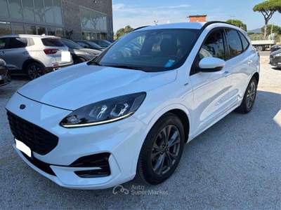 Ford Kuga Ford Kuga 1.5 Ecoblue St-line 120 CV Bianco usata Castagneto Carducci