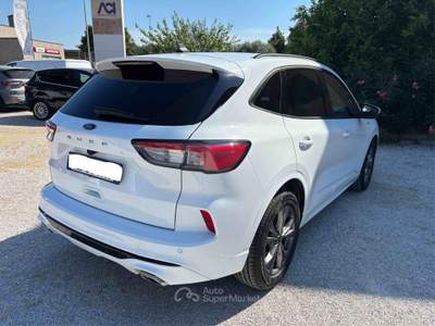 Ford Kuga Ford Kuga 1.5 Ecoblue St-line 120 CV Bianco usata Castagneto Carducci