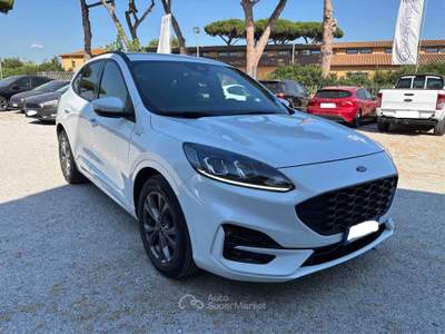 Ford Kuga Ford Kuga 1.5 Ecoblue St-line 120 CV Bianco usata Castagneto Carducci