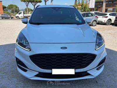 Ford Kuga Ford Kuga 1.5 Ecoblue St-line 120 CV Bianco usata Castagneto Carducci