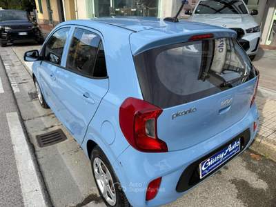 Kia Picanto 1.0 12V 5 porte Urban Blu/Azzurro usata Pieve a Nievole